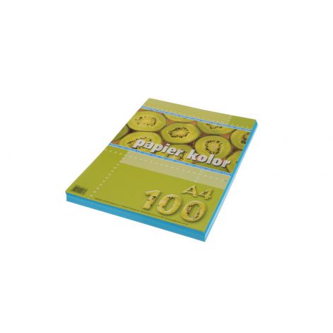 Papier ksero A4/100/80g Kreska niebieski - 2